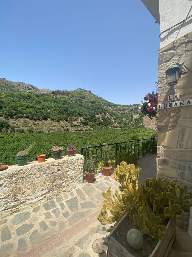 La Lozana - Rio Verde Jete Esterno foto